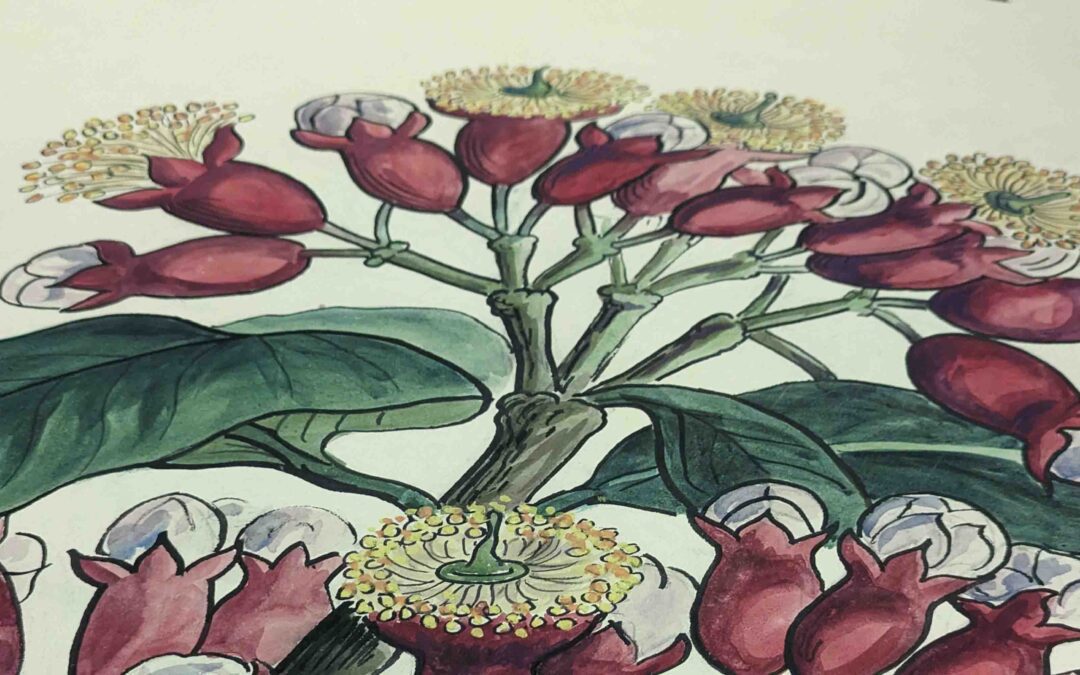 Le Musée du Vivant D’AgroParisTech documente la nature en grand